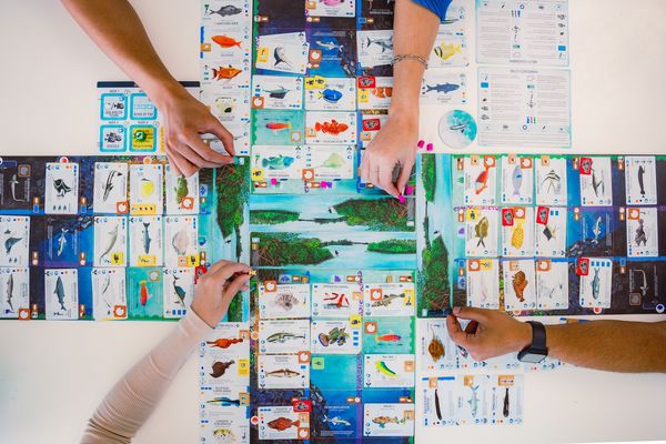 Produktbild: Stonemaier Games - Finspan, englische Version