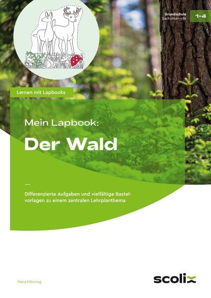 Produktbild: Mein Lapbook: Der Wald