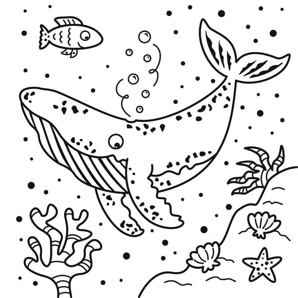 Produktbild: Mein magischer Wasser-Malspa&szlig; - Wilde Tiere