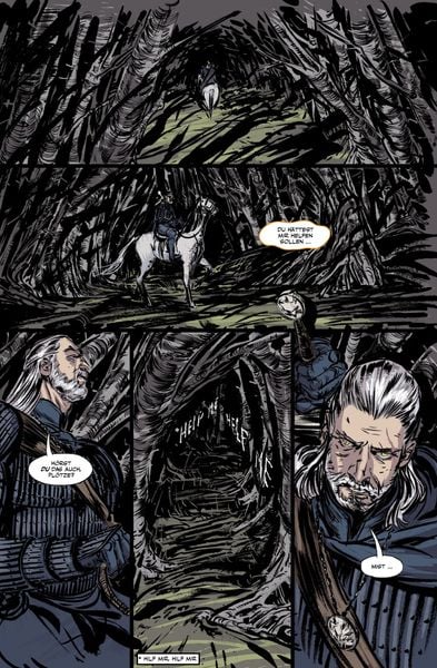Produktbild: The Witcher