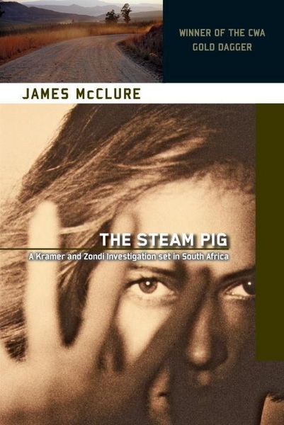 Produktbild: The Steam Pig