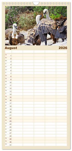 Produktbild: Familienplaner 2026 - Geier - die Gesundheitspolizei! mit 5 Spalten (Wandkalender, 21 x 45 cm) CALVENDO