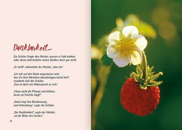 Produktbild: Kleine Sch&auml;tze