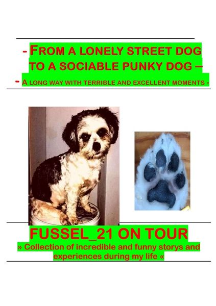 Produktbild: From a lonely street dog to a sociable punky dog