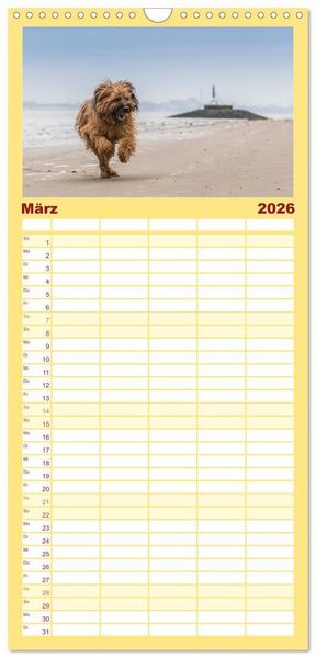 Produktbild: Familienplaner 2026 - Der Briard - Ein echter Charmeur mit 5 Spalten (Wandkalender, 21 x 45 cm) CALVENDO
