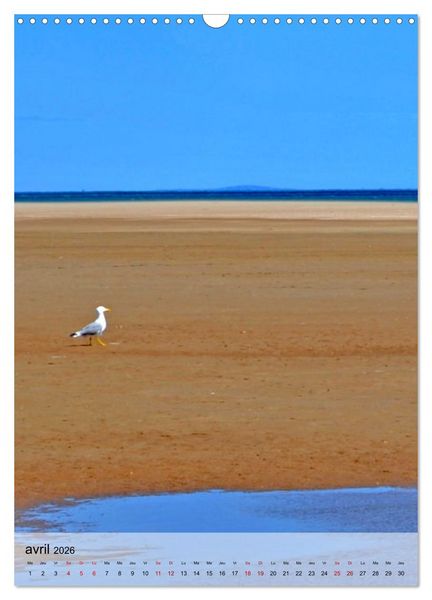 Produktbild: La mouette (Calendrier mural 2026 DIN A3 horizontal), CALVENDO calendrier mensuel