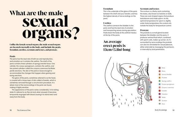 Produktbild: Alles &uuml;ber Sex