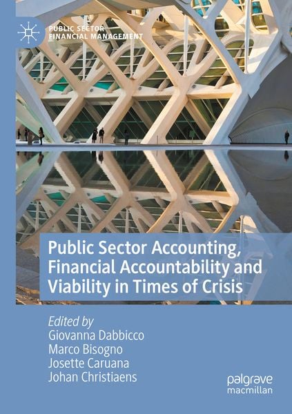 Produktbild: Public Sector Accounting, Financial Accountability and Viability in Times of Crisis
