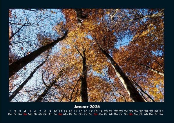 Produktbild: Waldzauber 2026 Fotokalender DIN A4