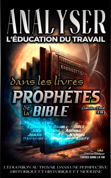 Produktbild: Analyser L'&eacute;ducation du Travail dans les Livres Proph&eacute;tiques de la Bible (L'&eacute;ducation au Travail dans la Bible)