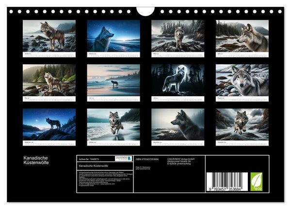 Produktbild: Kanadische K&uuml;stenw&ouml;lfe (Wandkalender 2026 DIN A4 quer), CALVENDO Monatskalender
