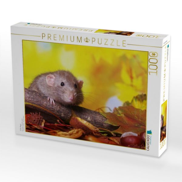 Produktbild: CALVENDO Puzzle S&uuml;&szlig;er Nager. | 1000 Teile Lege-Gr&ouml;&szlig;e 64x48cm Foto-Puzzle f&uuml;r gl&uuml;ckliche Stunden