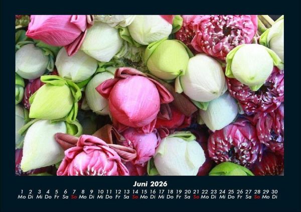 Produktbild: Blumenkalender 2026 Fotokalender DIN A4