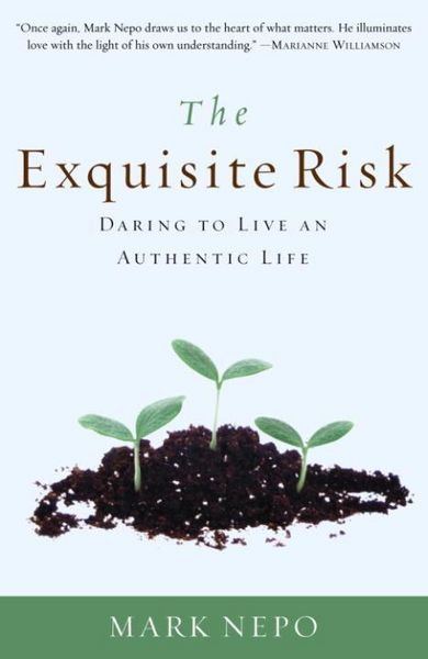 Produktbild: The Exquisite Risk