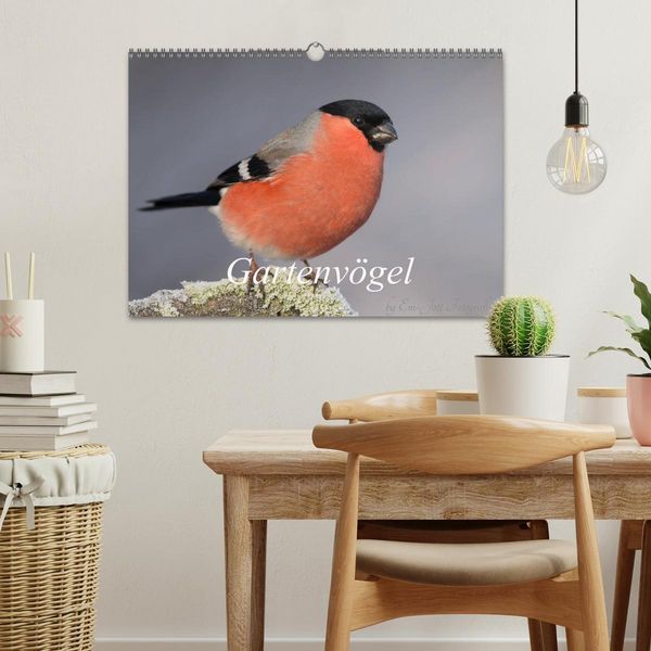 Produktbild: V&ouml;gel aus dem Garten (Wandkalender 2026 DIN A3 quer), CALVENDO Monatskalender