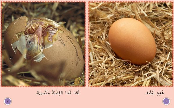 Produktbild: BIG CAT ARABIC - CHCK TO HEN