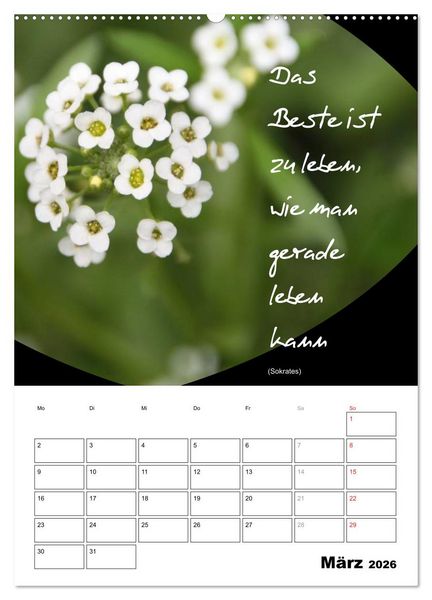 Produktbild: Spr&uuml;che und Weisheiten f&uuml;r&acute; s Jahr (Wandkalender 2026 DIN A2 hoch), CALVENDO Monatskalender