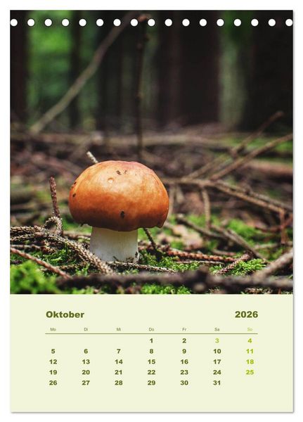 Produktbild: Wundersame Welt der Pilze (Tischkalender 2026 DIN A5 hoch), CALVENDO Monatskalender