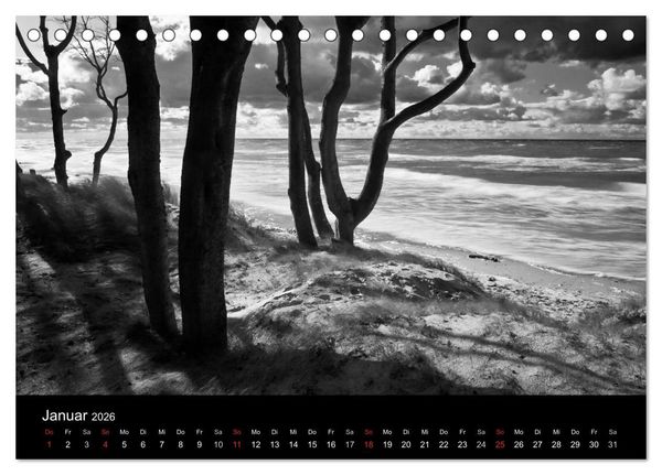 Produktbild: Strandspaziergang an der Ostsee (Tischkalender 2026 DIN A5 quer), CALVENDO Monatskalender