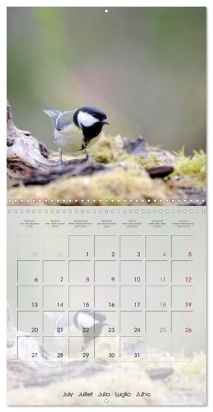 Produktbild: Le jardin des m&eacute;sanges (Calendrier mural carr&eacute; 2026 30x30 cm) Calendrier double avec une page pour vos prises de notes