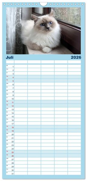 Produktbild: Familienplaner 2026 - Heilige Birma Katzen Kalender mit 5 Spalten (Wandkalender, 21 x 45 cm) CALVENDO