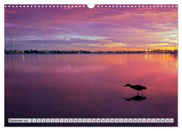 Produktbild: FLORIDA Paradiesischer Sonnenscheinstaat (Wandkalender 2026 DIN A3 quer), CALVENDO Monatskalender