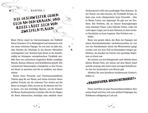 Produktbild: Merdyns magische Missgeschicke - Die Rache des Vandalen