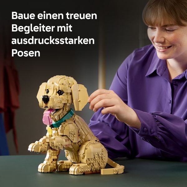 Produktbild: LEGO Icons 11384 Golden Retriever Welpe, Modellbau mit Hundefigur