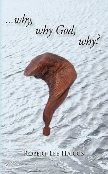 Produktbild: Why, Why God, Why?