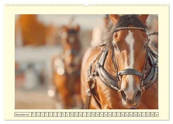Produktbild: Pferdesport Impressionen. Eleganz, Kraft und Vertrauen (Wandkalender 2027 DIN A2 quer), CALVENDO Monatskalender