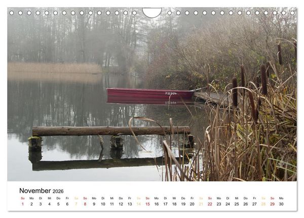Produktbild: Streifz&uuml;ge durch Feld und Flur (Wandkalender 2026 DIN A4 quer), CALVENDO Monatskalender