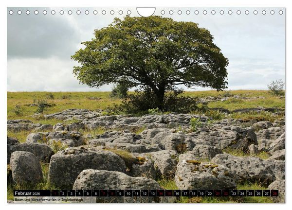 Produktbild: Traumhafte Yorkshire Dales (Wandkalender 2026 DIN A4 quer), CALVENDO Monatskalender