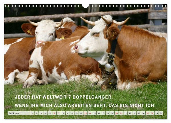 Produktbild: M&uuml;de, faul und arbeitsscheu (Wandkalender 2026 DIN A3 quer), CALVENDO Monatskalender