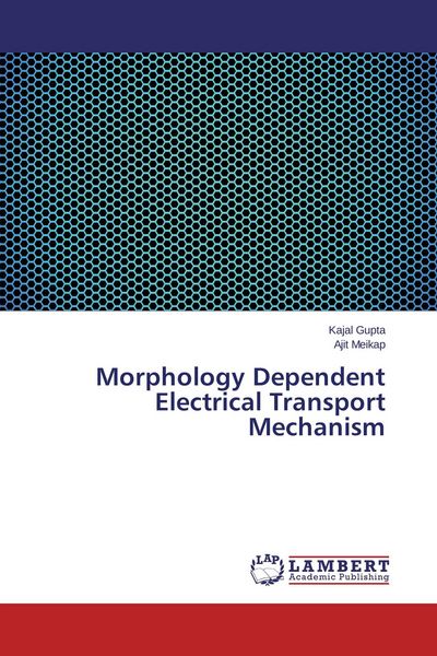 Produktbild: Morphology Dependent Electrical Transport Mechanism