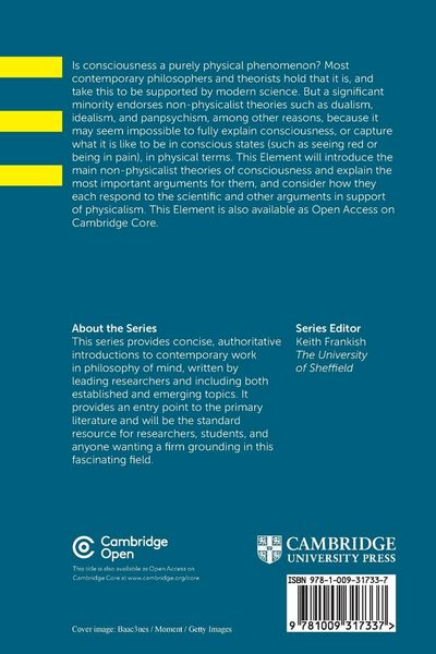 Produktbild: Non-physicalist Theories of Consciousness