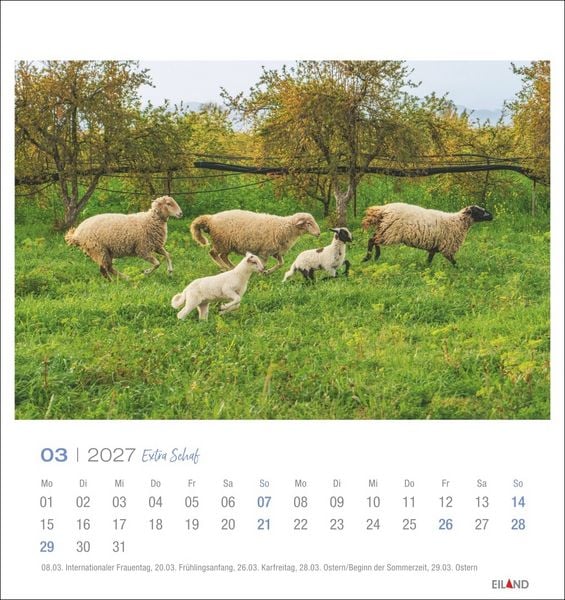 Produktbild: Extra Schaf Postkartenkalender 2027