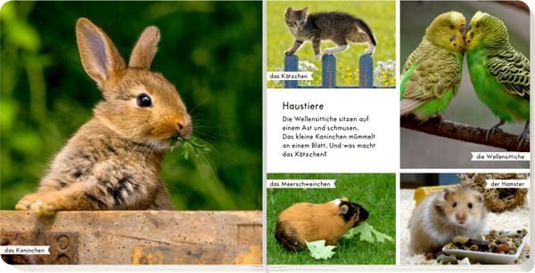 Produktbild: Meine liebsten Tiere