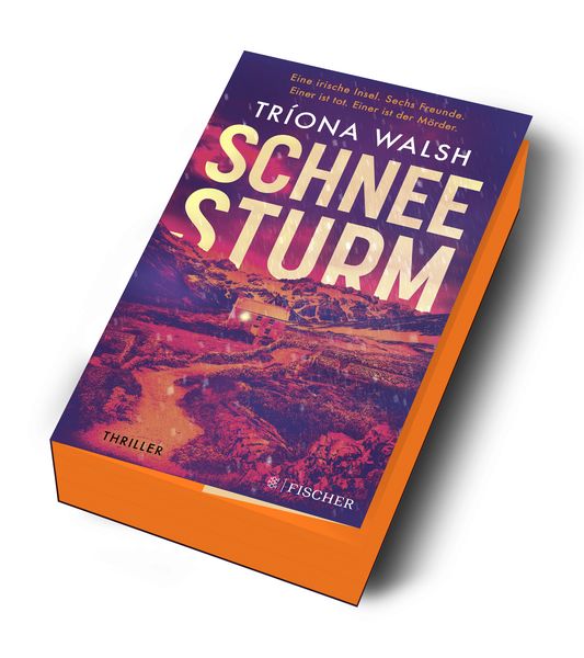 Produktbild: Schneesturm