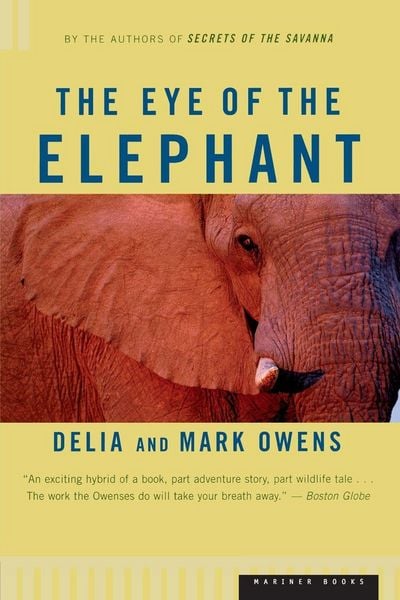 Produktbild: The Eye of the Elephant