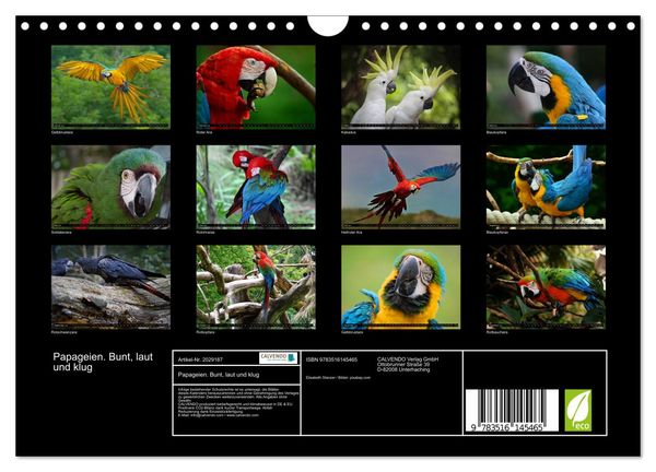 Produktbild: Papageien. Bunt, laut und klug (Wandkalender 2026 DIN A4 quer), CALVENDO Monatskalender
