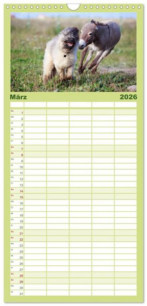 Produktbild: Familienplaner 2026 - Das Esel-Paradies - Hunde und andere Feunde mit 5 Spalten (Wandkalender, 21 x 45 cm) CALVENDO