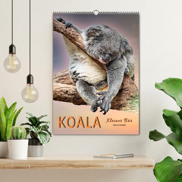 Produktbild: Koala, kleiner B&auml;r (Wandkalender 2026 DIN A2 hoch), CALVENDO Monatskalender