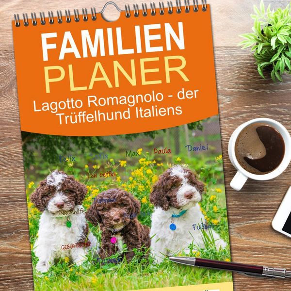 Produktbild: Familienplaner 2026 - Lagotto Romagnolo - der Tr&uuml;ffelhund Italiens mit 5 Spalten (Wandkalender, 21 x 45 cm) CALVENDO