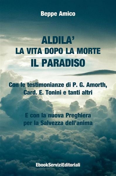 Produktbild: ALDILA' - la vita dopo la morte - IL PARADISO