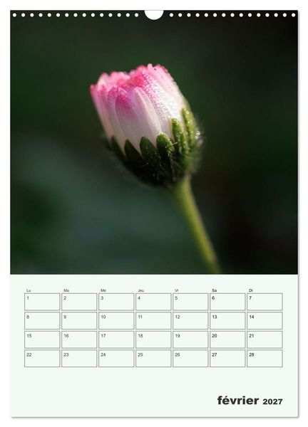 Produktbild: Fleurs en toute simplicit&eacute; - Beaut&eacute; minimaliste (Calendrier mural 2027 DIN A3 horizontal), CALVENDO calendrier mensuel