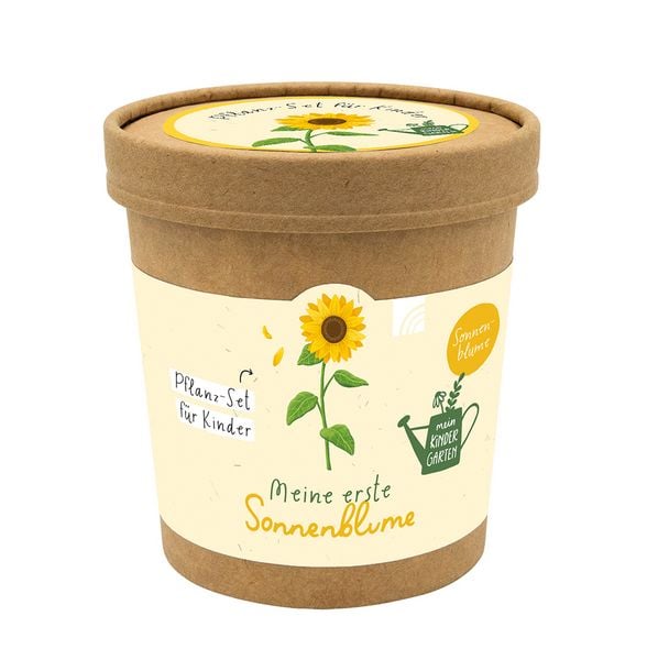 Produktbild: Meine erste Sonnenblume