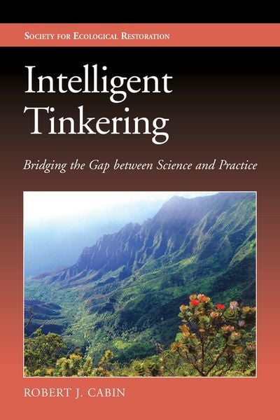 Produktbild: Intelligent Tinkering