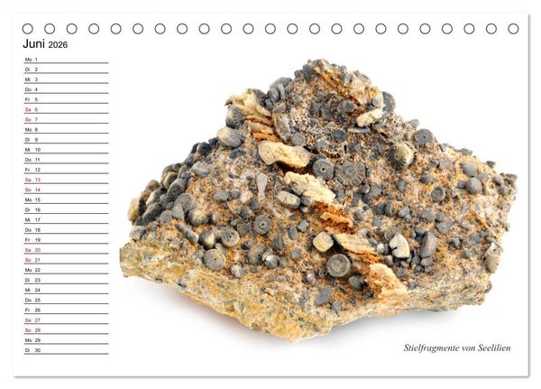 Produktbild: Fossilien - Versteinerte Relikte der Erdzeitalter (Tischkalender 2026 DIN A5 quer), CALVENDO Monatskalender