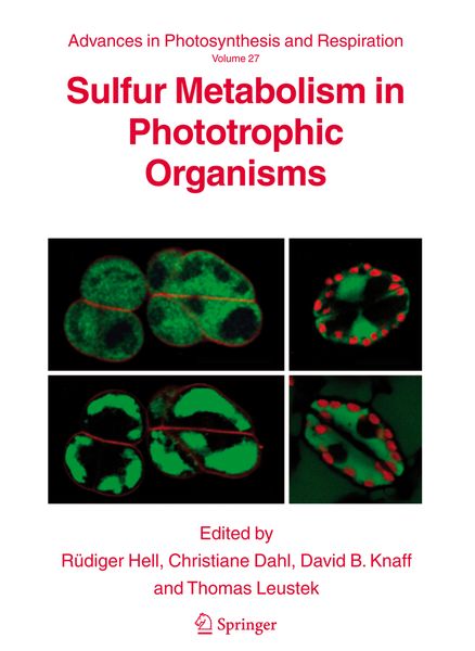 Produktbild: Sulfur Metabolism in Phototrophic Organisms
