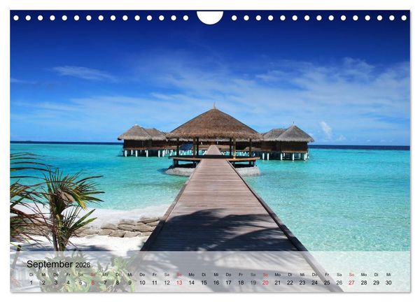 Produktbild: S&uuml;dseetr&auml;ume. Paradiese im Pazifik (Wandkalender 2026 DIN A4 quer), CALVENDO Monatskalender